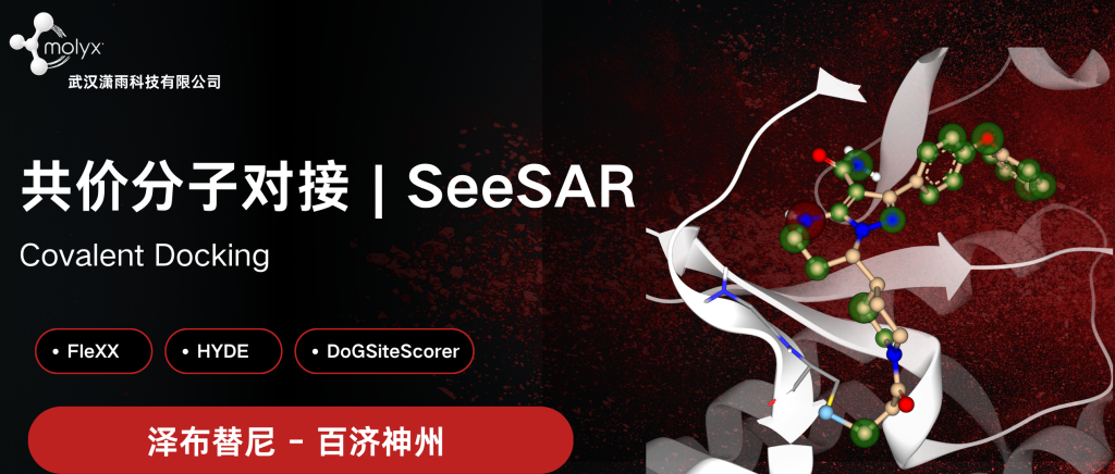 SeeSAR 共价分子对接教程：共价位点设置与结果分析