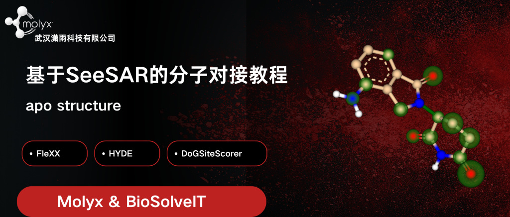 SeeSAR 标准分子对接入门：从蛋白准备到结果分析