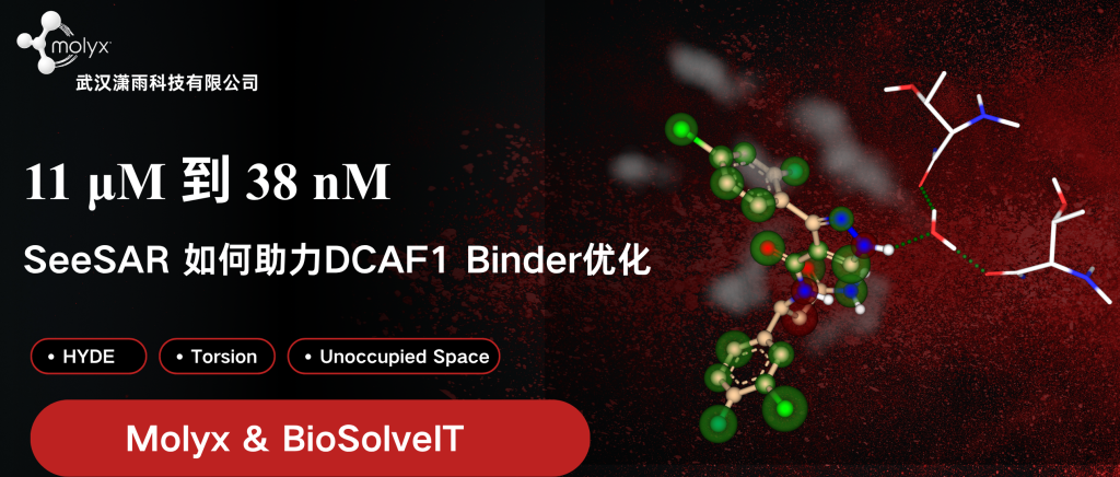 SeeSAR 优化案例：DCAF1 Binder 从 11 μM 到 38 nM