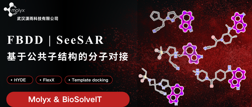 SeeSAR 模板对接教程：基于公共子结构预测配体构象