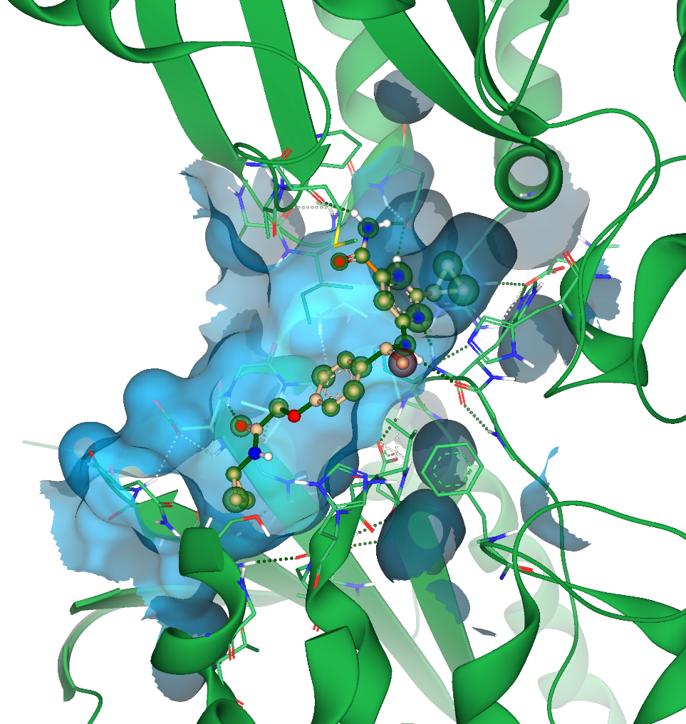 Chemical Space Docking — 结合口袋中的配体对接