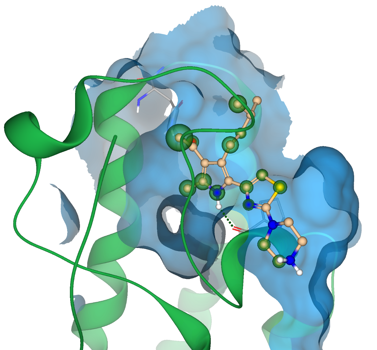分子对接可视化 — SeeSAR 中的配体与蛋白结合位点